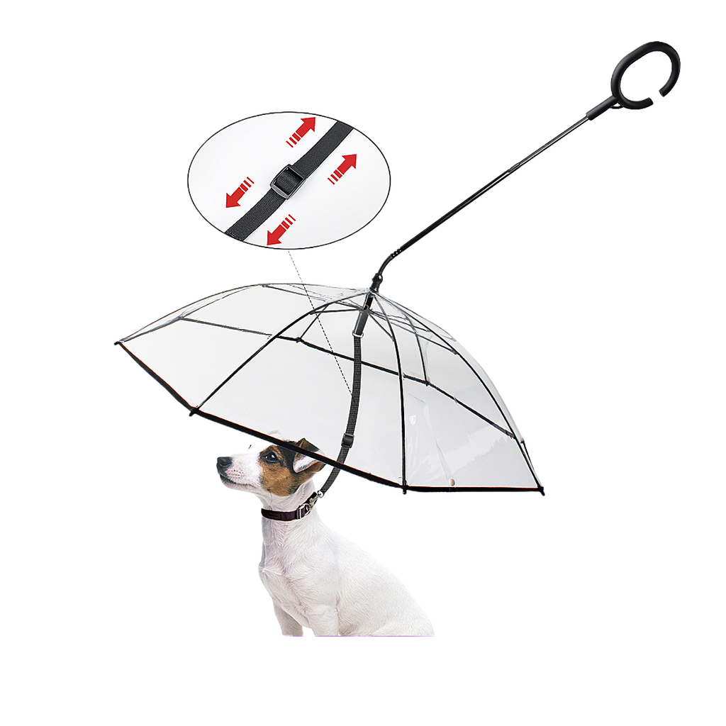 Transparent umbrella dog leash