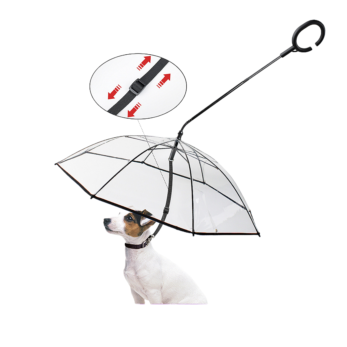 Transparent umbrella dog leash