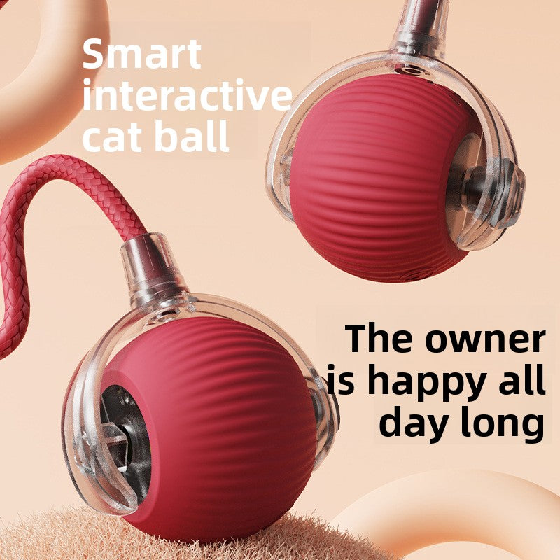 Automatic Electric Rolling Pet Toy Ball