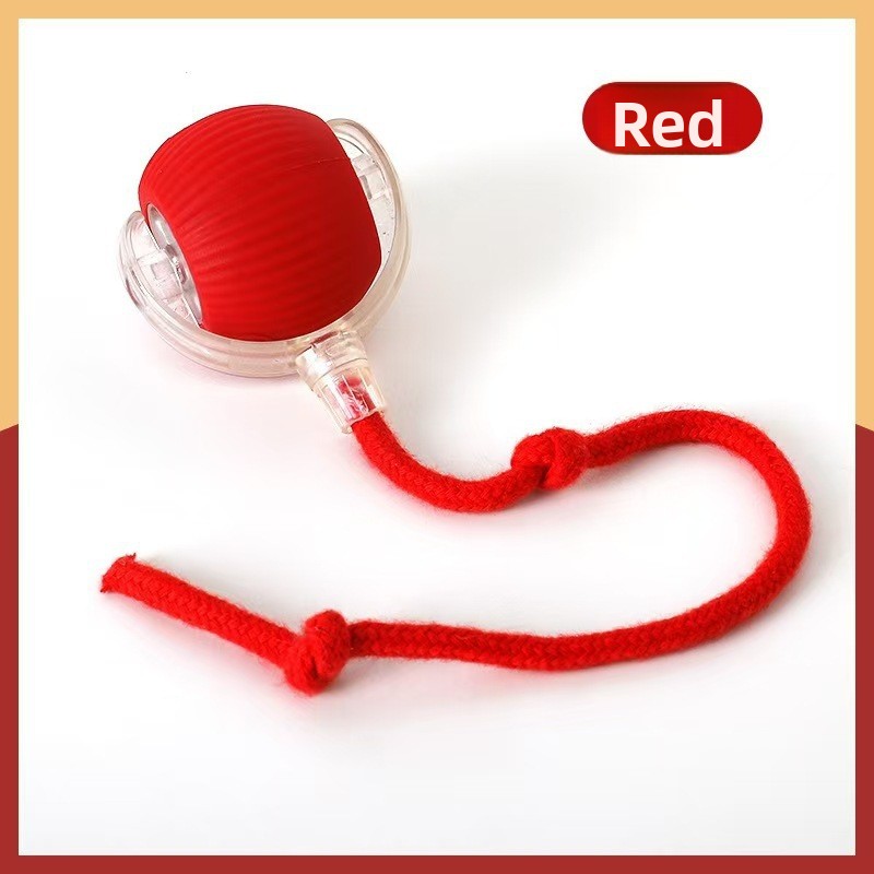 Smart Cat Toy Ball for Self-Entertainment, Automatic Pet Cat and Dog Walking Ball