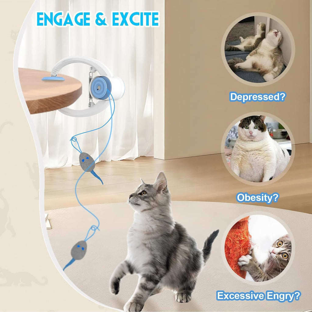 Automatic Jumping Pet Toy