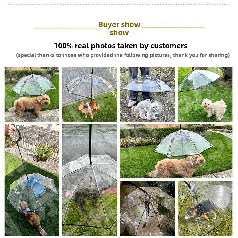 Transparent umbrella dog leash